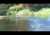 Maple River